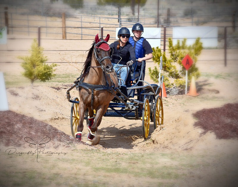 Combined Driving at Galway Downs 